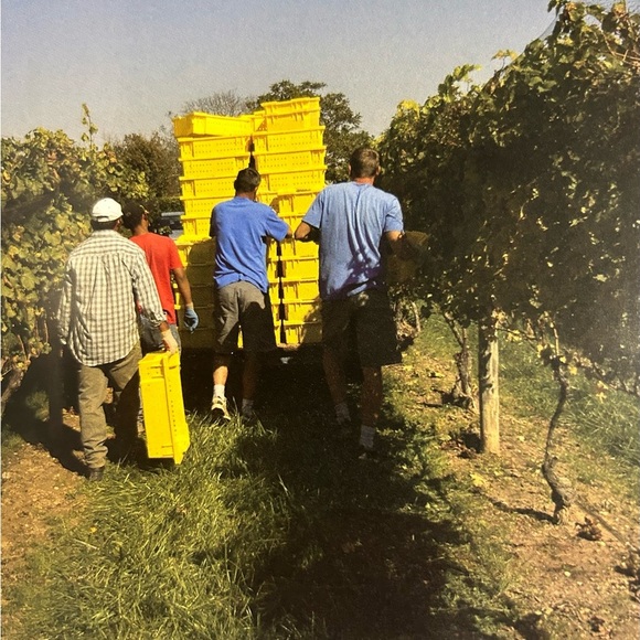 Long Island Wine Country Award Winning Vinyards of the North Fork and Hamptons - Picture 8 of 10